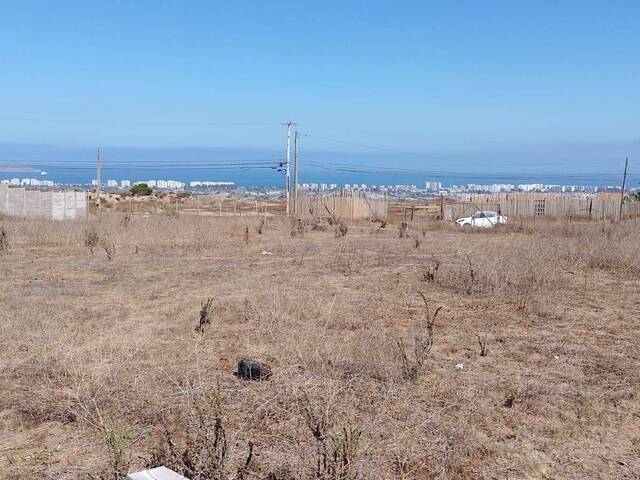 #4 - Terreno para construcción para Venta en La Serena - IV