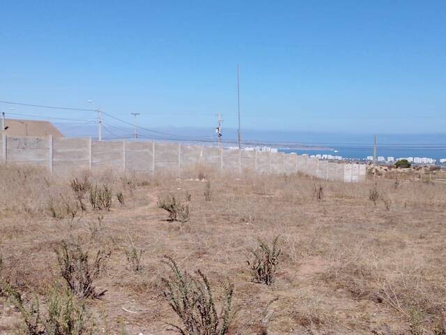 Terreno para construcción para Venta en La Serena - 4